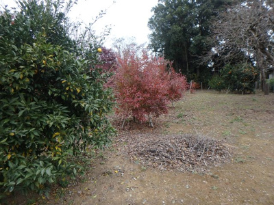 【外観】 | 東松山市野田　売地