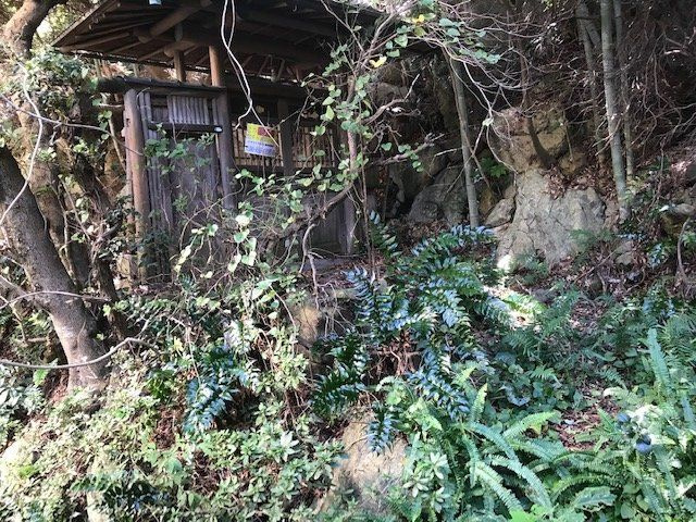 和歌山市新和歌浦・土地・56521の外観