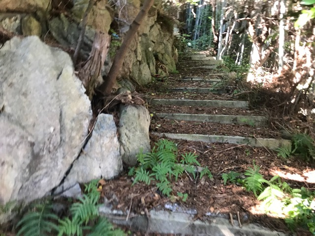 和歌山市新和歌浦・土地・56521の外観