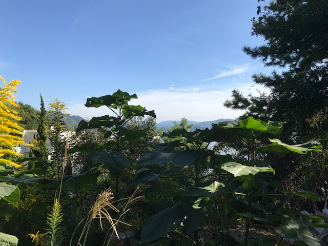 和歌山市新和歌浦・土地・56521の展望