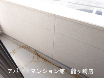 【展望】 | Soldias