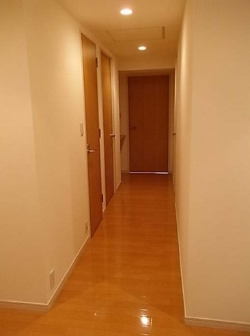 新宿区河田町の賃貸マンションのその他|廊下