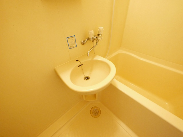 メゾン・ド・スリシエI　B棟の設備|洗面ボウル