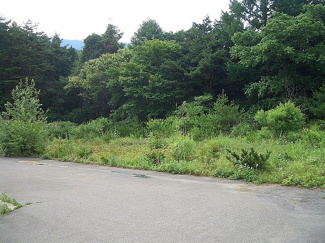 【外観】 | 辰野町伊那富 売地2