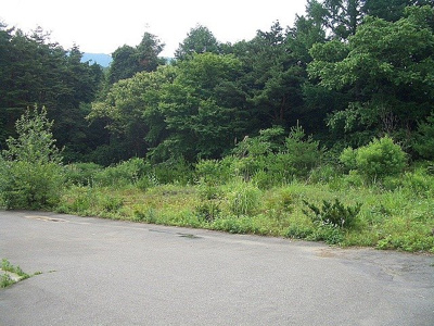 【外観】 | 辰野町伊那富 売地2