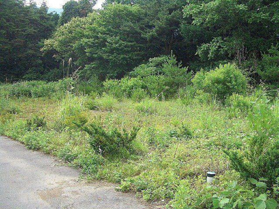 【外観】 | 辰野町伊那富 売地2