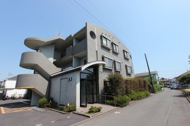 ブロッサム柿木