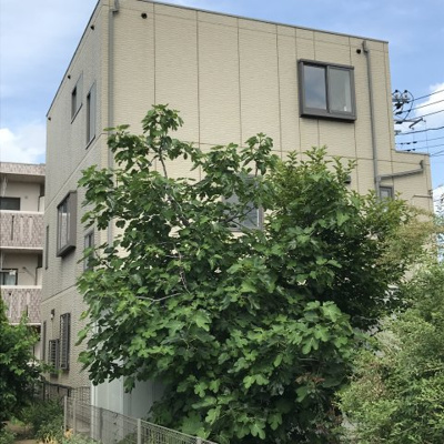 【外観】 | 現地見学会　伊奈町 ハウスメーカー施工リノベーション再生住宅 | 緑に囲まれた重厚な建物。