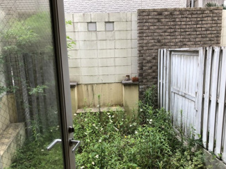 【展望】
