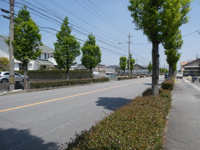 グリーン リヴァージュのその他|前面道路