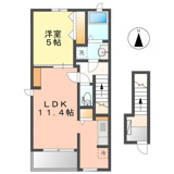 タンジーの画像