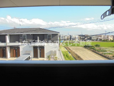 【展望】 | タンジー