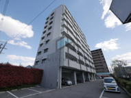 フルラーレの画像