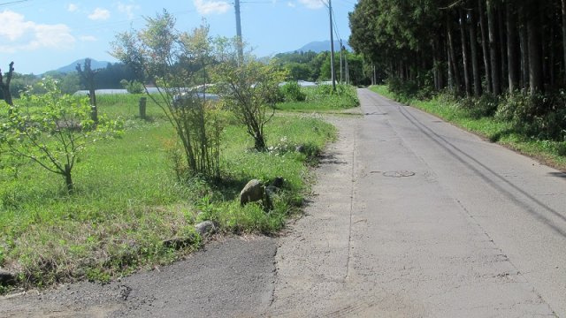 【前面道路含む現地写真】