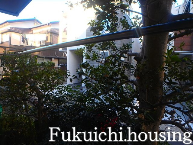 エスコートユーアイの展望