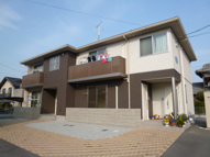 パフィオＡの画像