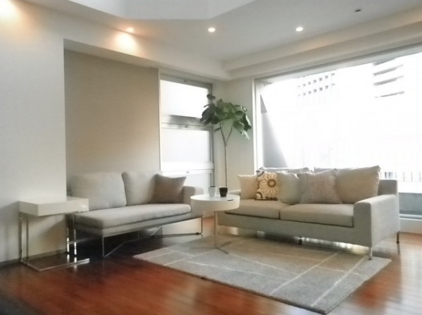 千代田区三番町の賃貸マンションのその他|リビング・モデルルーム