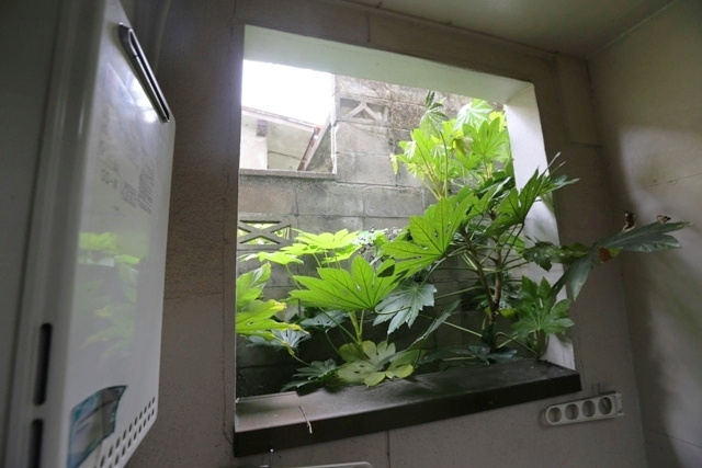 【展望】 | ドルフ山手町