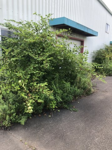 奈良藺生町1.2階倉庫の周辺