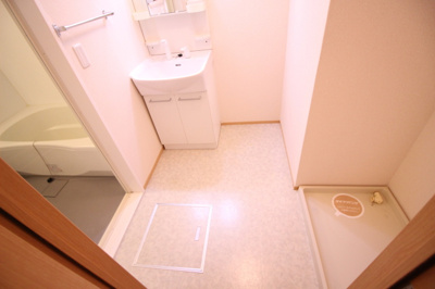 【洗面所】 | アピテ高安