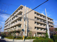 レジェンダリー武庫川の画像