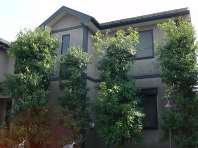 【外観】 | K.VILLAGEⅡ(浜田山賃貸一戸建て) | K・VILLAGE Ⅱ