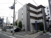 サザングレイスの画像