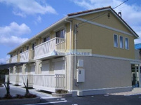 グレイスワンの画像