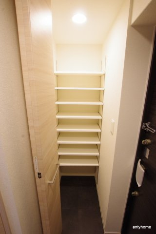 プレサンス心斎橋レヨン　仲介手数料無料の収納