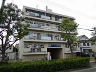 パインリーフ甲子園の画像