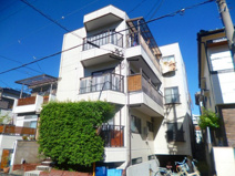 セントグローリーの画像