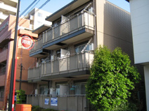 ソレイユの画像