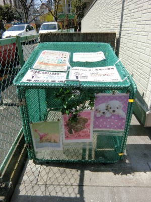 【その他共用部分】 | Philia Flats M・I/フィリアフラッツ | 敷地内ごみ置き場でごみ出しもらくらく～♪忙しい社会人さんや学生さんにもうってつけ！