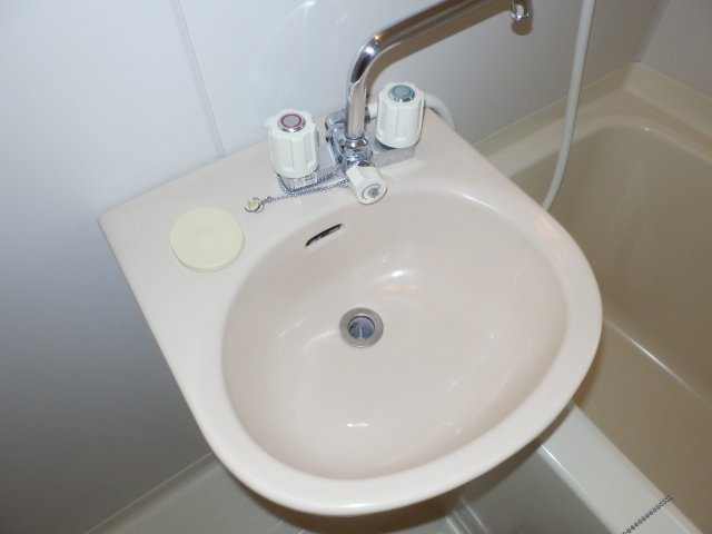 システィハイムの洗面所