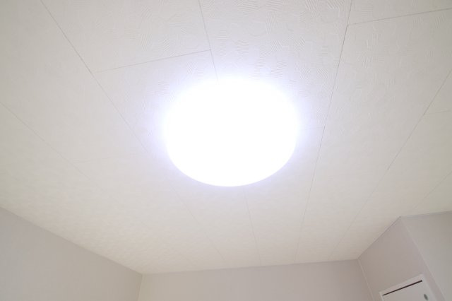 【設備】 | ウエムラグレース白鷺 | 照明