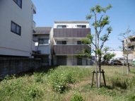 ロータスコートの画像