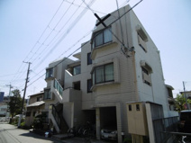 ライム里中の画像