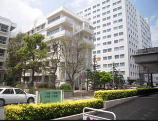 【周辺】 | ＳＵＮＢＬＥＳＴ | 兵庫医科大学病院