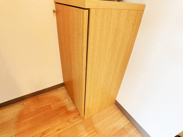 プリミエールＫⅡのその他