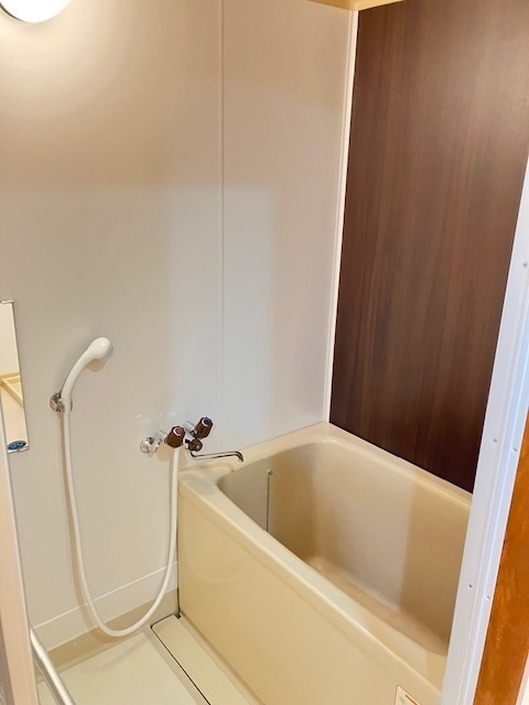 ヤリタマンションの浴室