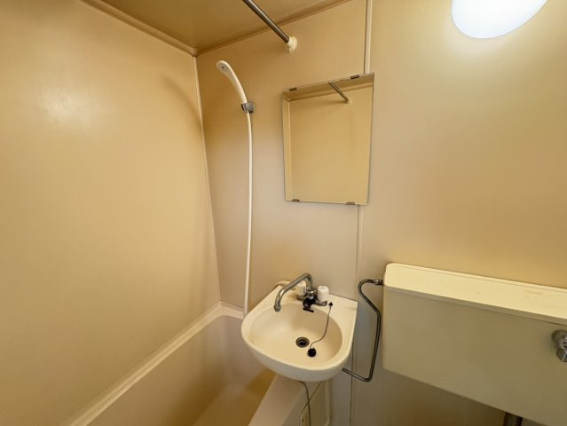 サニーフラット市川の洗面所