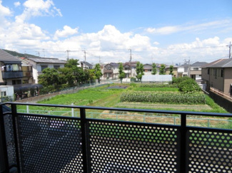 【展望】