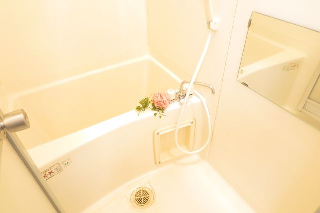 ラパンジール阿波座の浴室