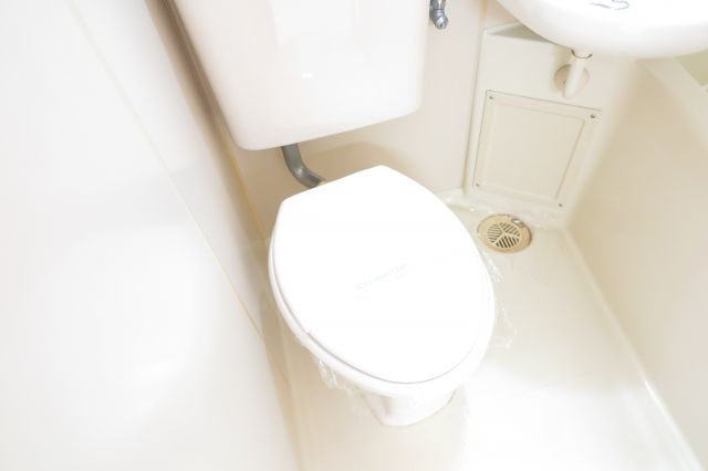 ラパンジール阿波座Ⅱのトイレ