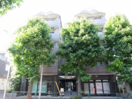 ベル・ヴィベールの画像