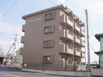 センチュリー秋桜の画像