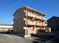 シャルマンの画像