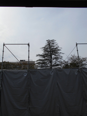 【展望】 | ヴィラクリーンホワイト | 景色