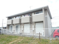 セレッソ八木の画像