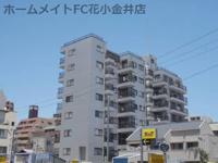 野崎ビルの画像